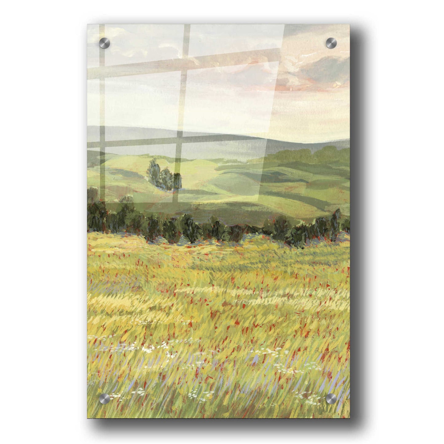 Epic Art 'Morning Meadow I' by Victoria Borges, Acrylic Wall Art,24x36