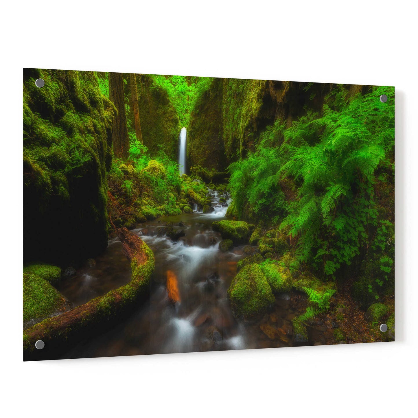 Epic Art 'Early Morning at the Grotto' by Darren White, Acrylic Glass Wall Art,36x24