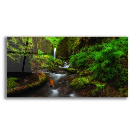 Epic Art 'Early Morning at the Grotto' by Darren White, Acrylic Glass Wall Art