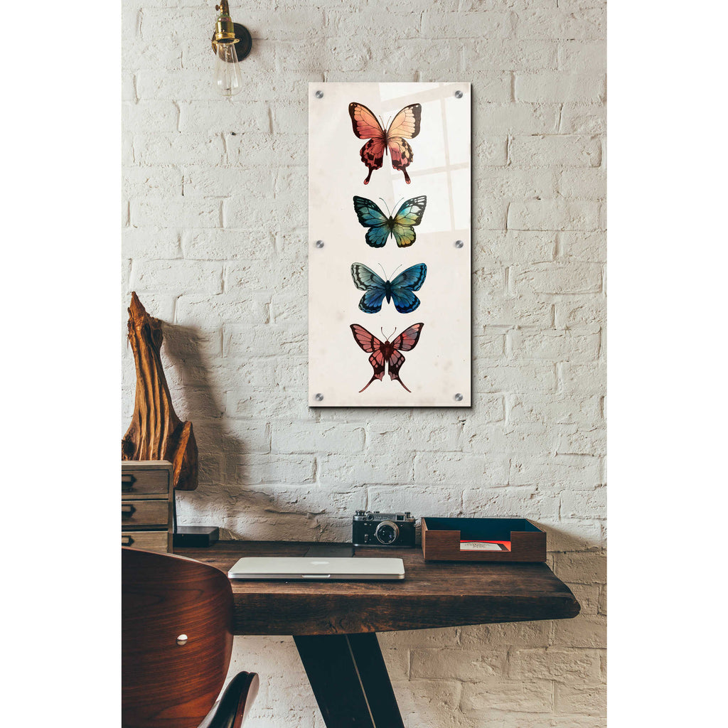 Epic Art 'Fairy Study I' by Grace Popp, Acrylic Glass Wall Art,12x24