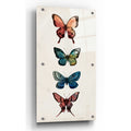 Epic Art 'Fairy Study I' by Grace Popp, Acrylic Glass Wall Art,2:1