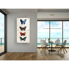 Epic Art 'Fairy Study II' by Grace Popp, Acrylic Glass Wall Art,24x48