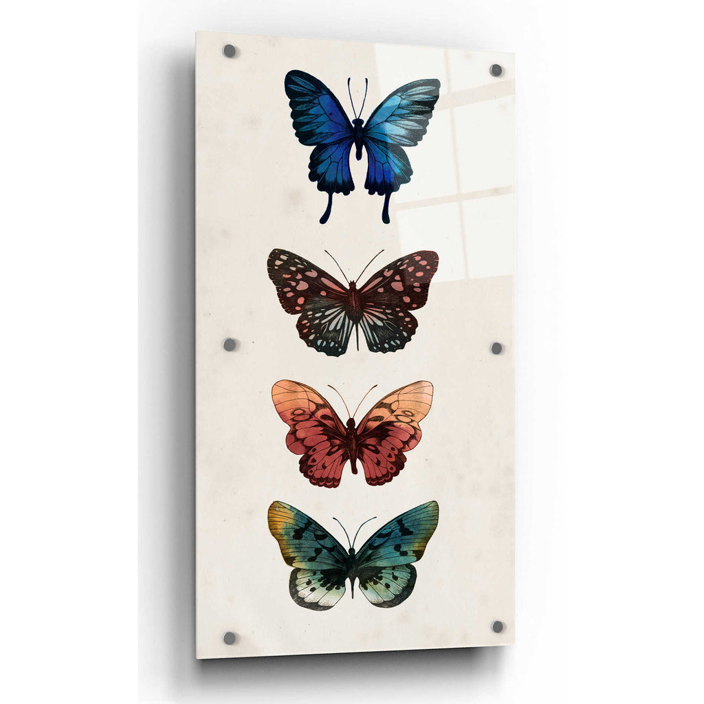 Epic Art 'Fairy Study II' by Grace Popp, Acrylic Glass Wall Art,2:1