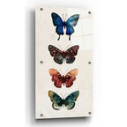 Epic Art 'Fairy Study II' by Grace Popp, Acrylic Glass Wall Art,2:1