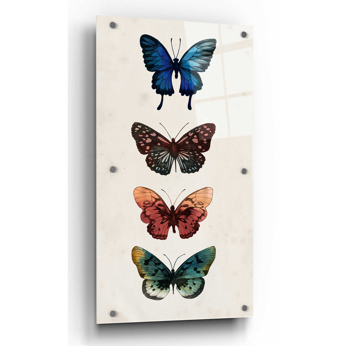 Epic Art 'Fairy Study II' by Grace Popp, Acrylic Glass Wall Art,2:1