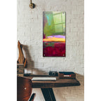 Epic Art 'Juliet's Vineyard I' by Erin Ashley, Acrylic Glass Wall Art,12x24
