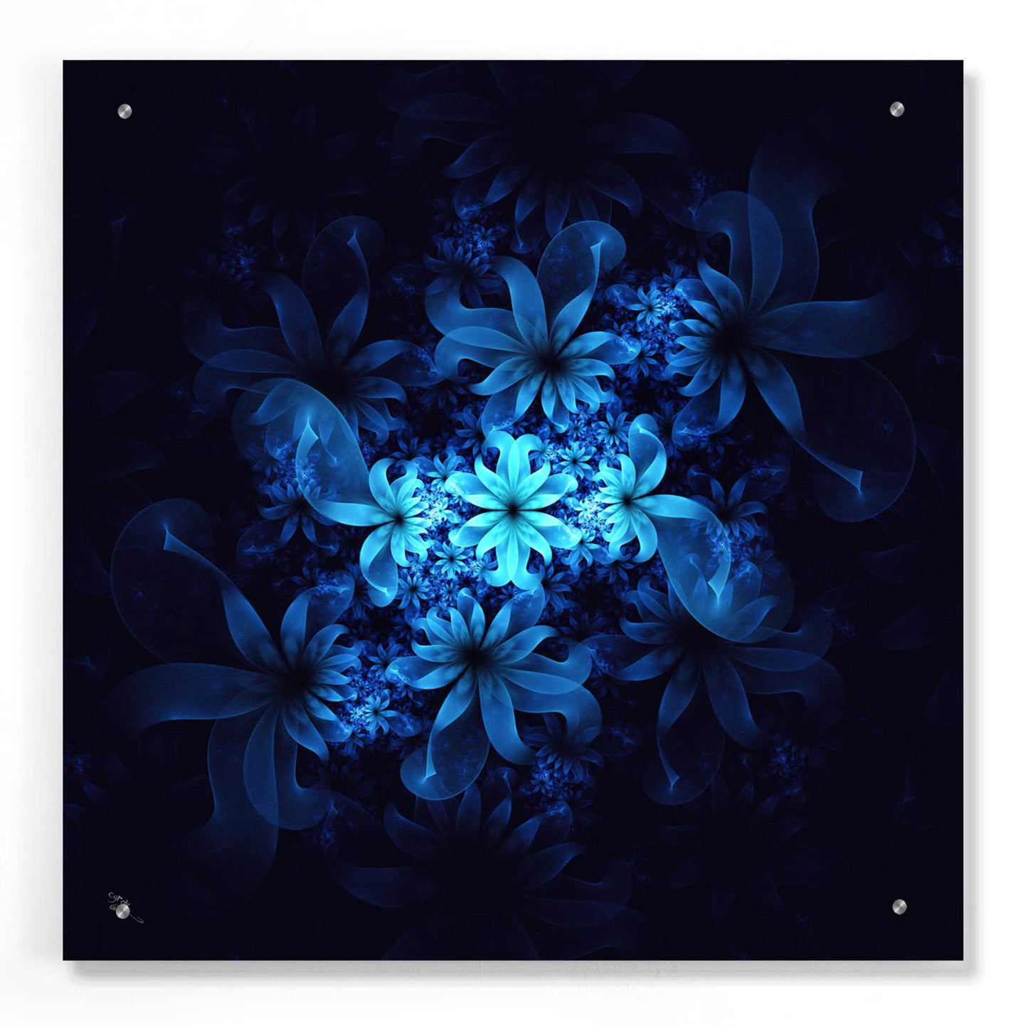 Epic Art 'Luminous Flowers' by Cameron Gray, Acrylic Glass Wall Art,24x24