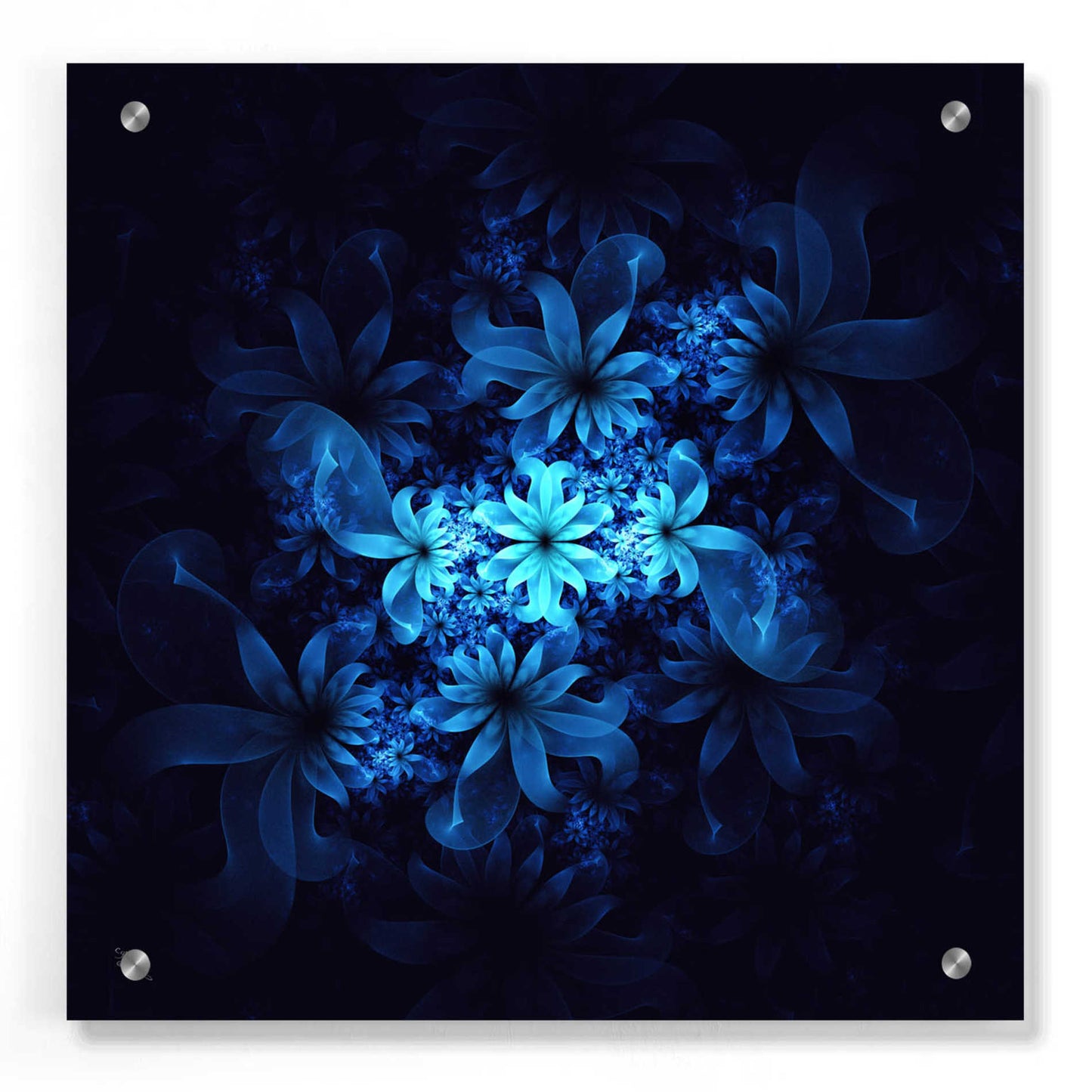 Epic Art 'Luminous Flowers' by Cameron Gray, Acrylic Glass Wall Art,36x36