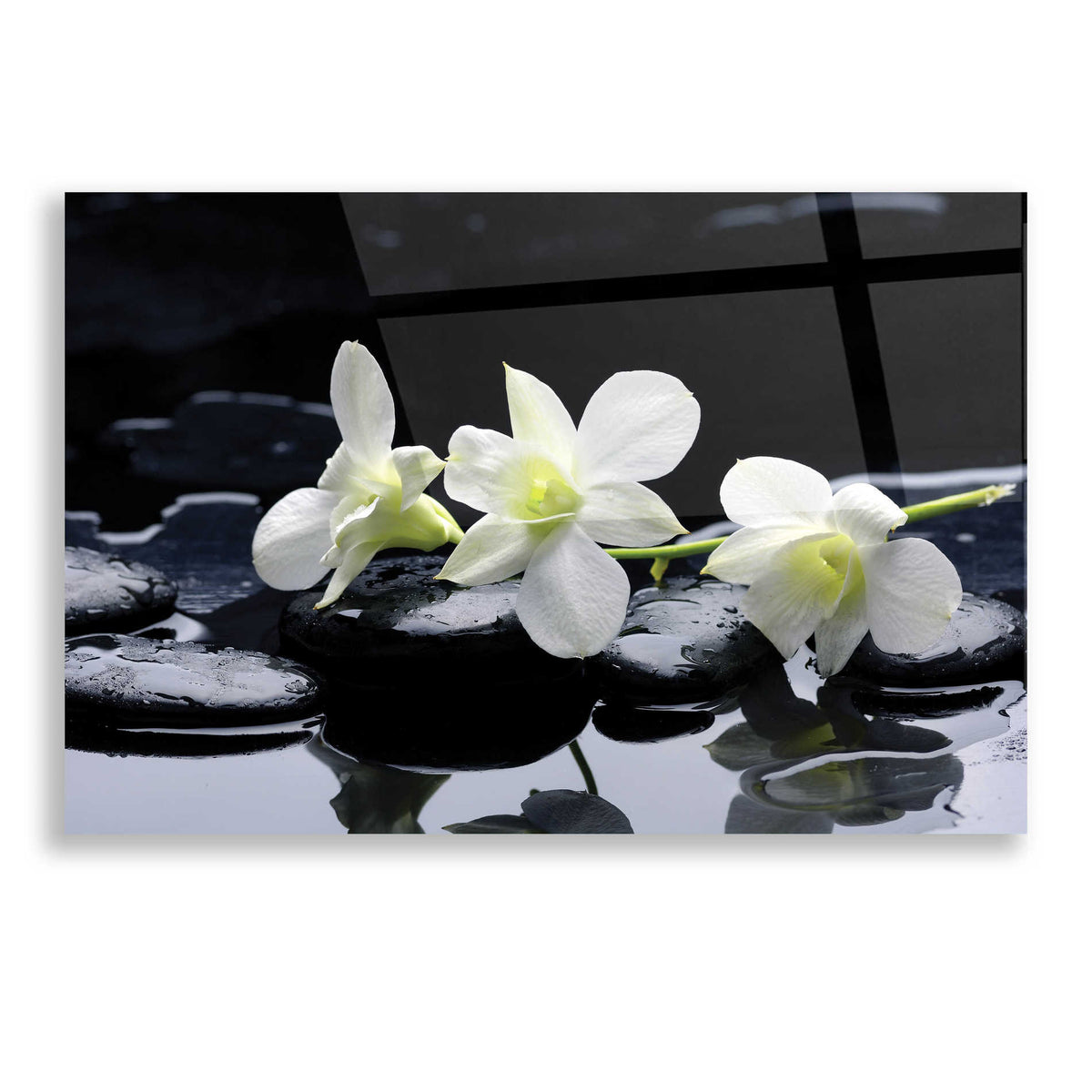 Epic Art 'The Light of Three,' Acrylic Glass Wall Art