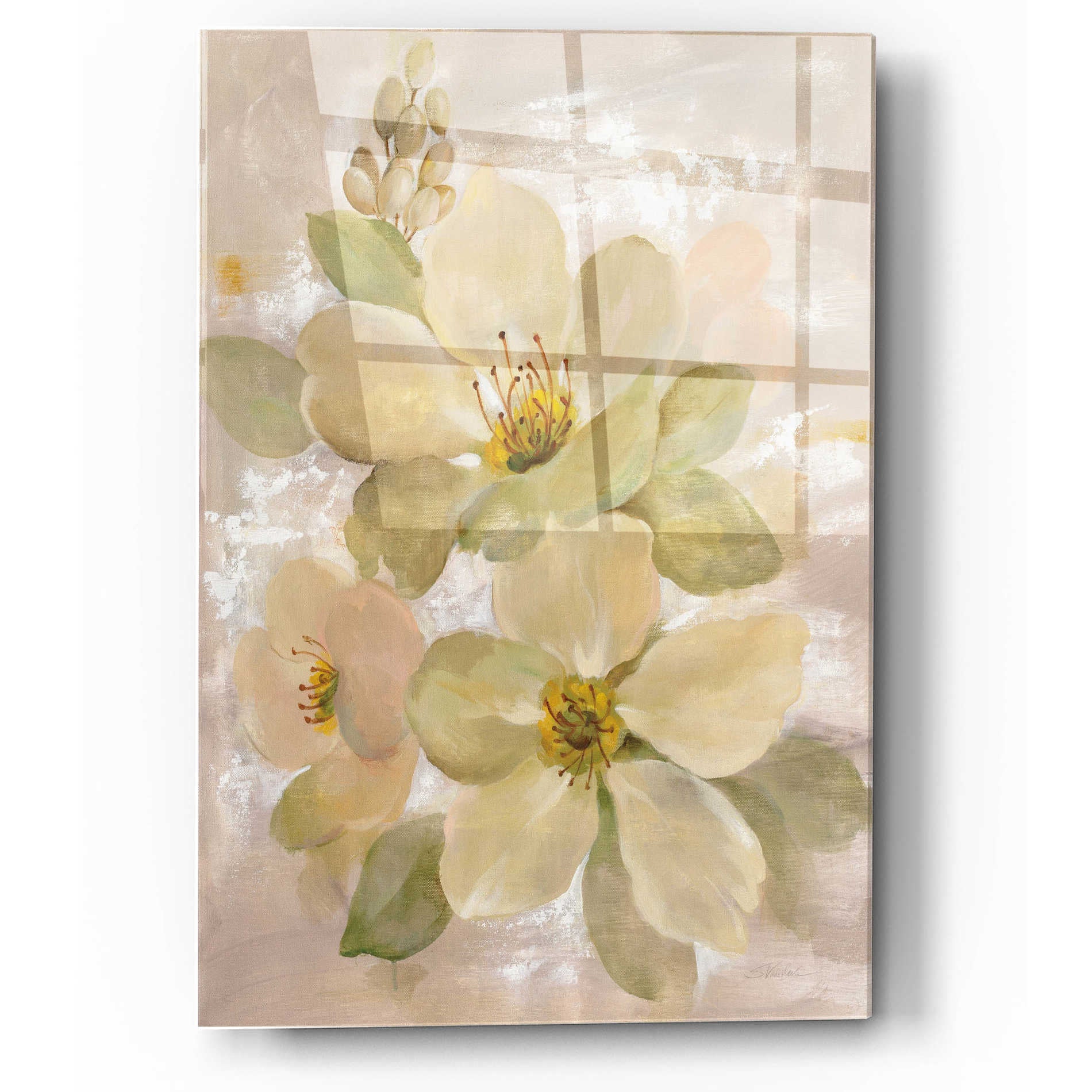 Epic Art 'White on White Floral I' by Silvia Vassileva, Acrylic Glass Wall Art,12x16