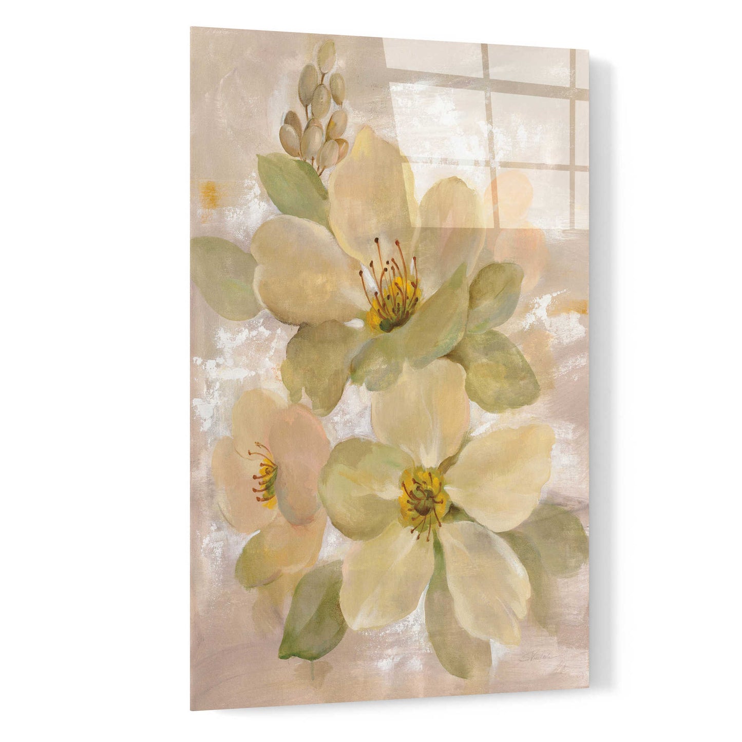 Epic Art 'White on White Floral I' by Silvia Vassileva, Acrylic Glass Wall Art,16x24