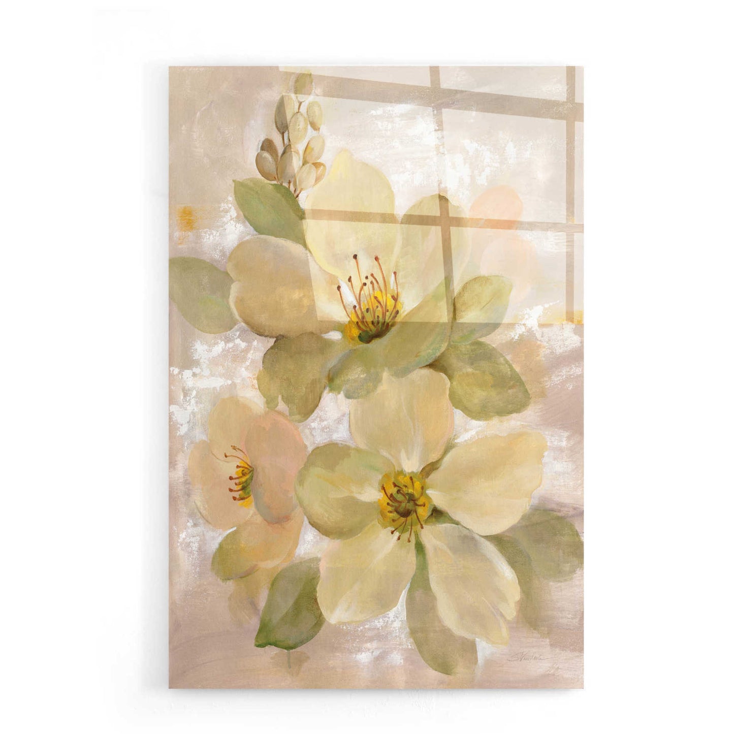 Epic Art 'White on White Floral I' by Silvia Vassileva, Acrylic Glass Wall Art,16x24