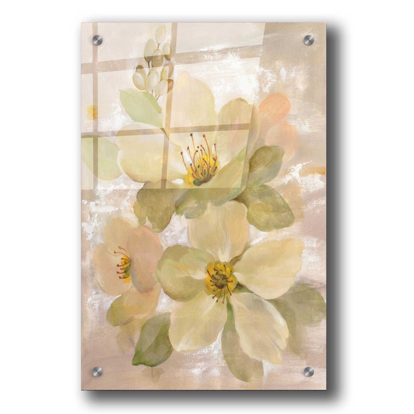 Epic Art 'White on White Floral I' by Silvia Vassileva, Acrylic Glass Wall Art,24x36