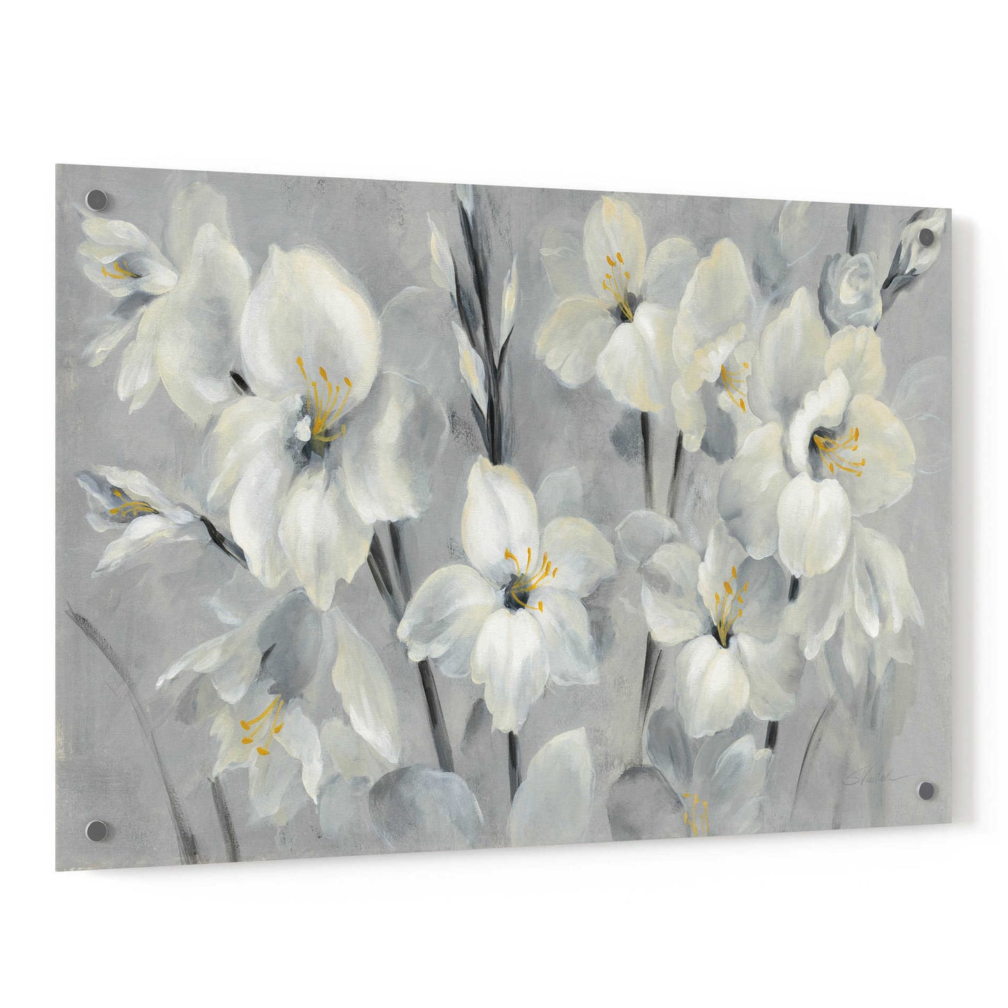 Epic Art 'Flowers on Gray' by Silvia Vassileva, Acrylic Glass Wall Art,36x24