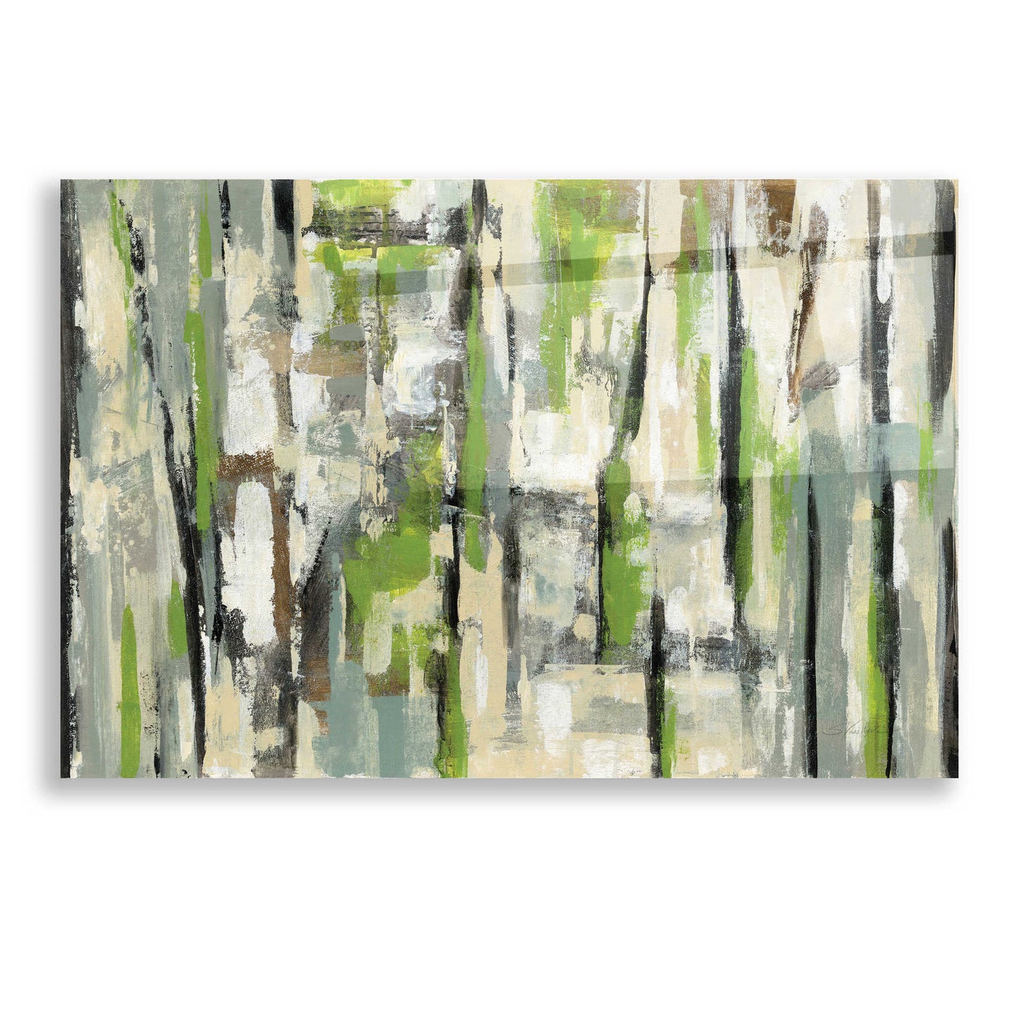 Epic Art 'Spring Stripes' by Silvia Vassileva, Acrylic Glass Wall Art,16x12