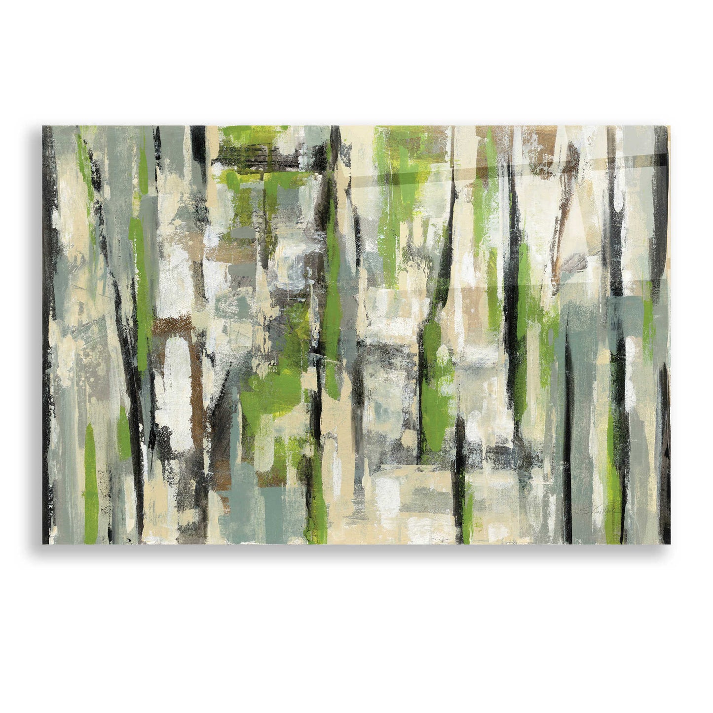 Epic Art 'Spring Stripes' by Silvia Vassileva, Acrylic Glass Wall Art,24x16