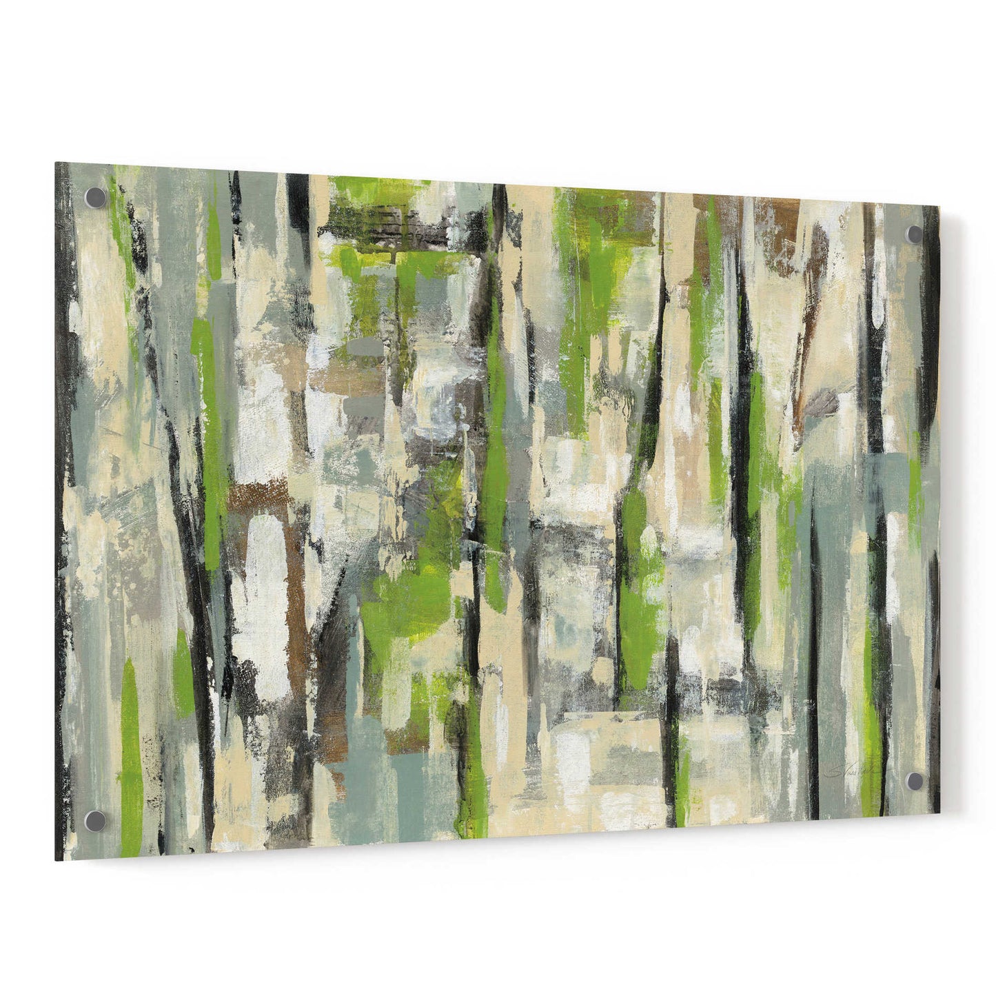 Epic Art 'Spring Stripes' by Silvia Vassileva, Acrylic Glass Wall Art,36x24