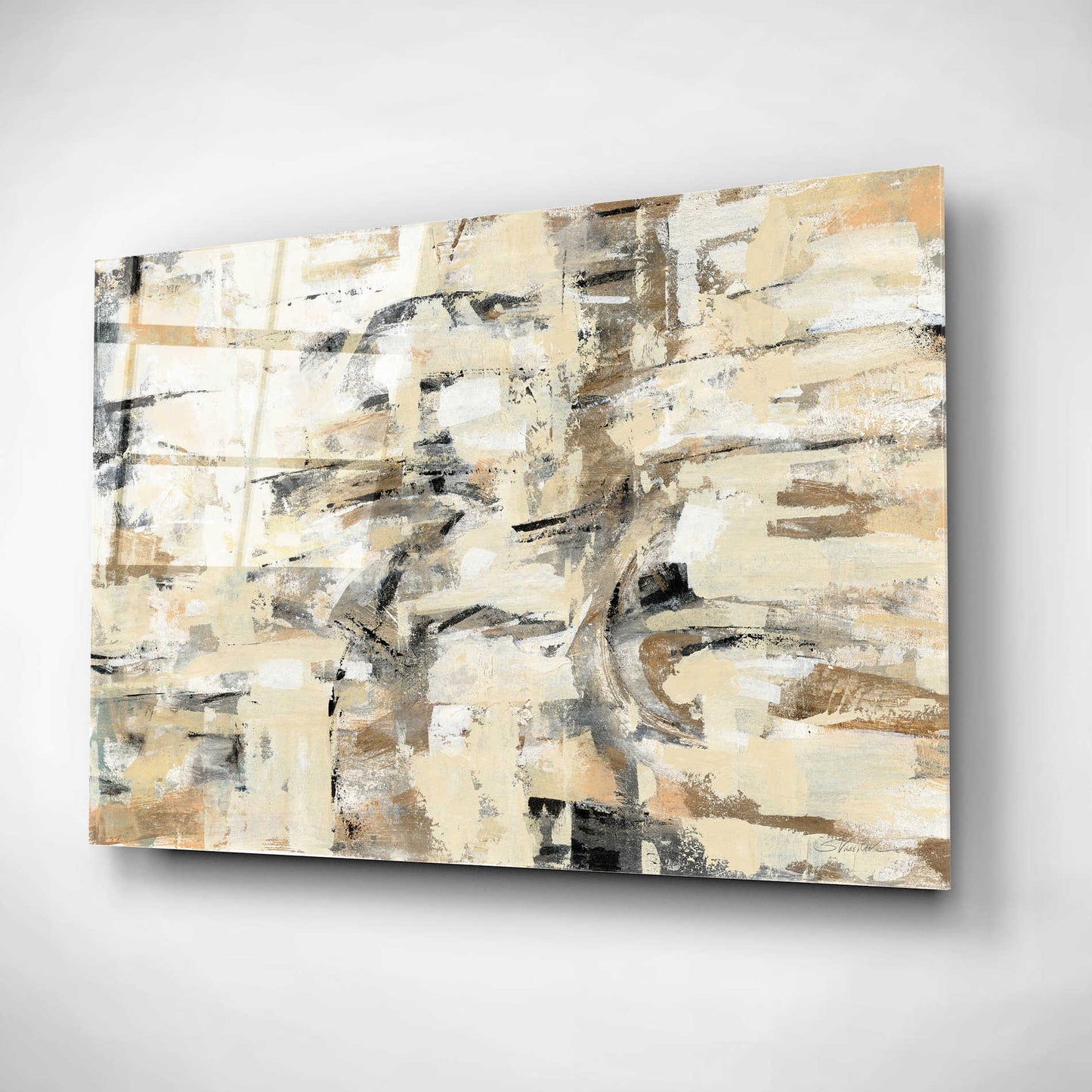 Epic Art 'Tone on Tone' by Silvia Vassileva, Acrylic Glass Wall Art,24x16