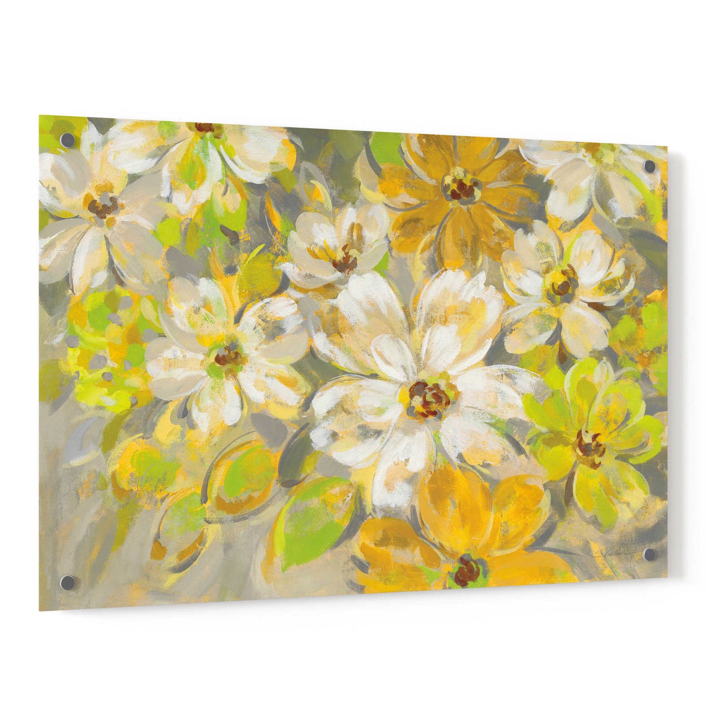 Epic Art 'Scattered Spring Petals' by Silvia Vassileva, Acrylic Glass Wall Art,36x24