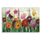 Epic Art 'Jewel Daisy Gerbera' by Silvia Vassileva, Acrylic Glass Wall Art