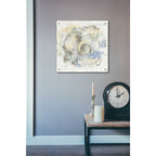 Epic Art 'Signature' by Silvia Vassileva, Acrylic Glass Wall Art,24x24