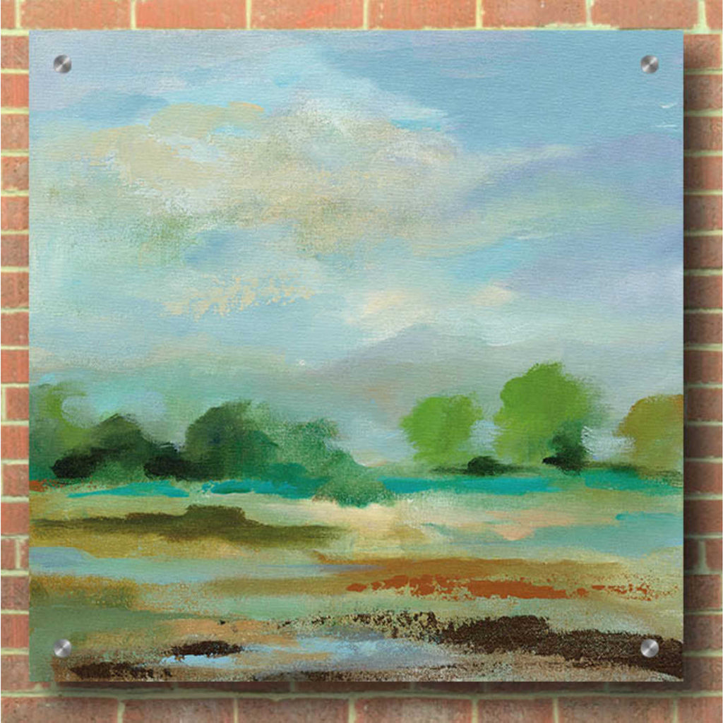 Epic Art 'Unexpected Clouds II' by Silvia Vassileva, Acrylic Glass Wall Art,36x36