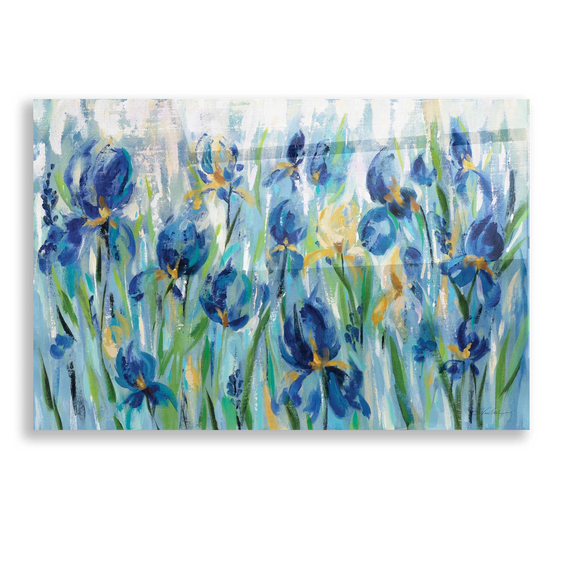 Epic Art 'Iris Flower Bed' by Silvia Vassileva, Acrylic Glass Wall Art,16x12