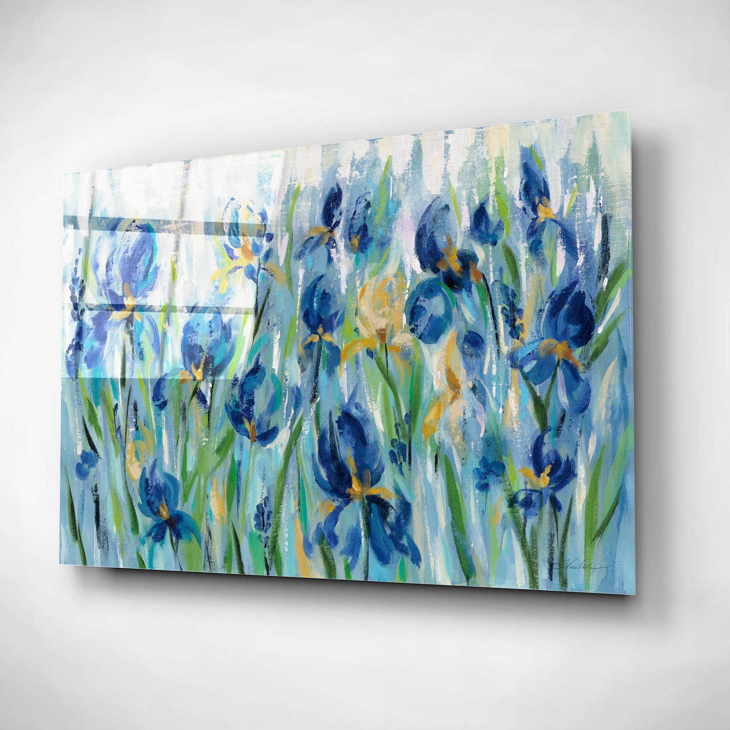 Epic Art 'Iris Flower Bed' by Silvia Vassileva, Acrylic Glass Wall Art,24x16