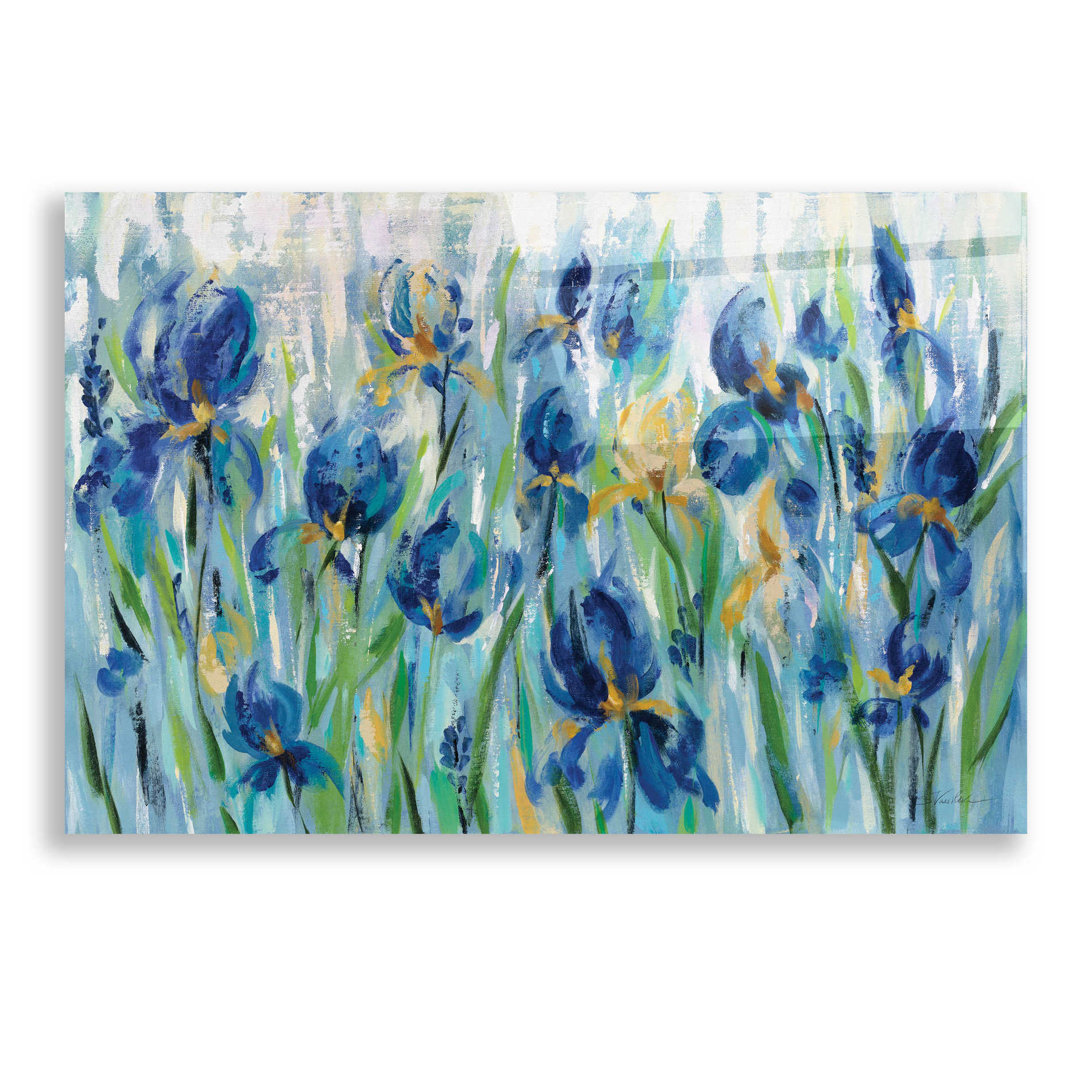 Epic Art 'Iris Flower Bed' by Silvia Vassileva, Acrylic Glass Wall Art,24x16