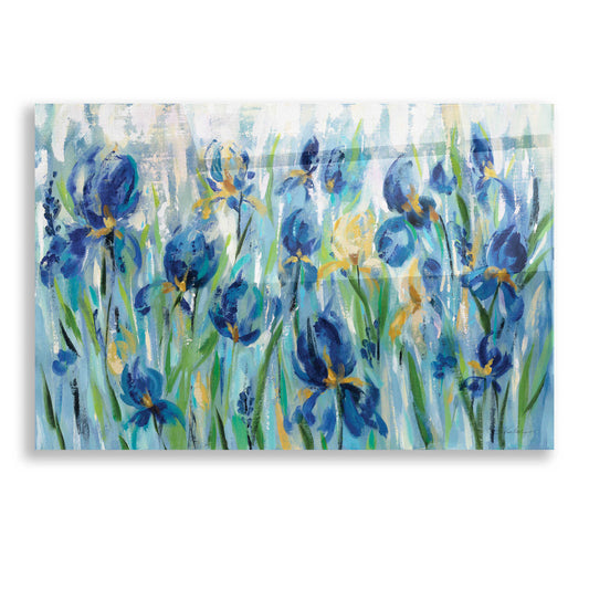 Epic Art 'Iris Flower Bed' by Silvia Vassileva, Acrylic Glass Wall Art