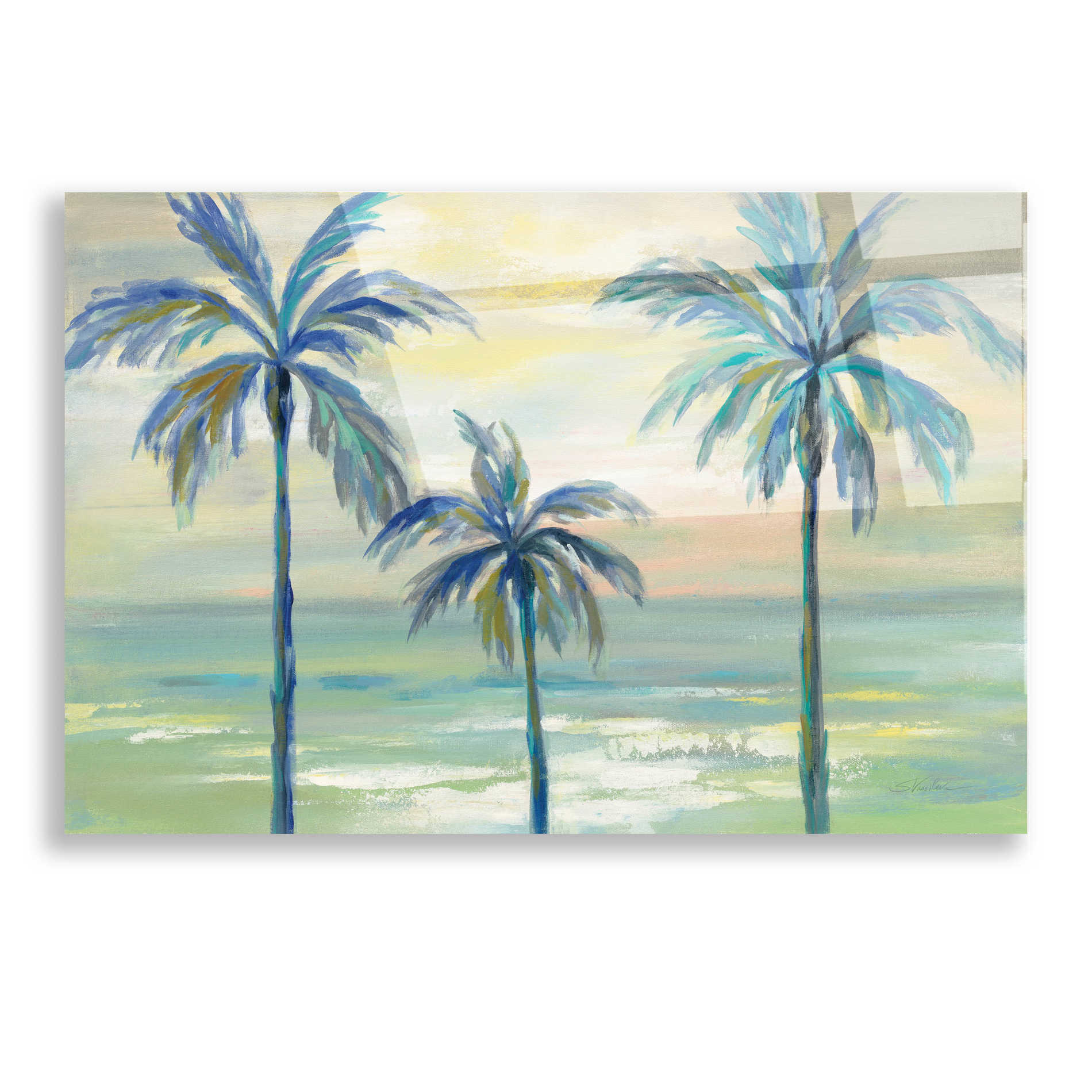 Epic Art 'Marine Layer Palms' by Silvia Vassileva, Acrylic Glass Wall Art,16x12