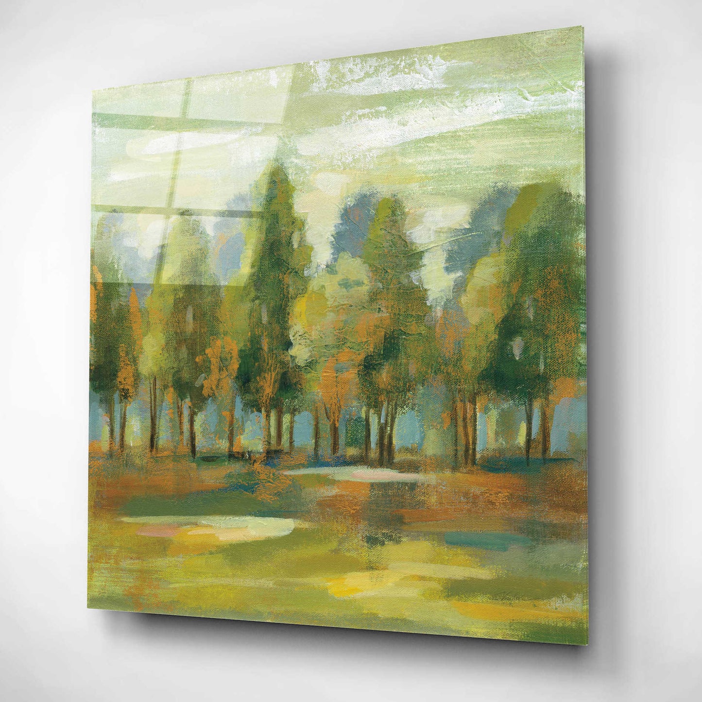 Epic Art 'Forest I' by Silvia Vassileva, Acrylic Glass Wall Art,12x12