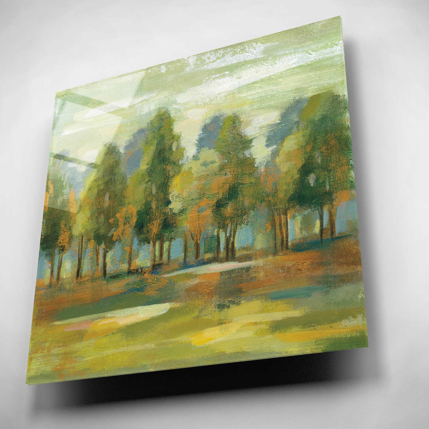 Epic Art 'Forest I' by Silvia Vassileva, Acrylic Glass Wall Art,12x12