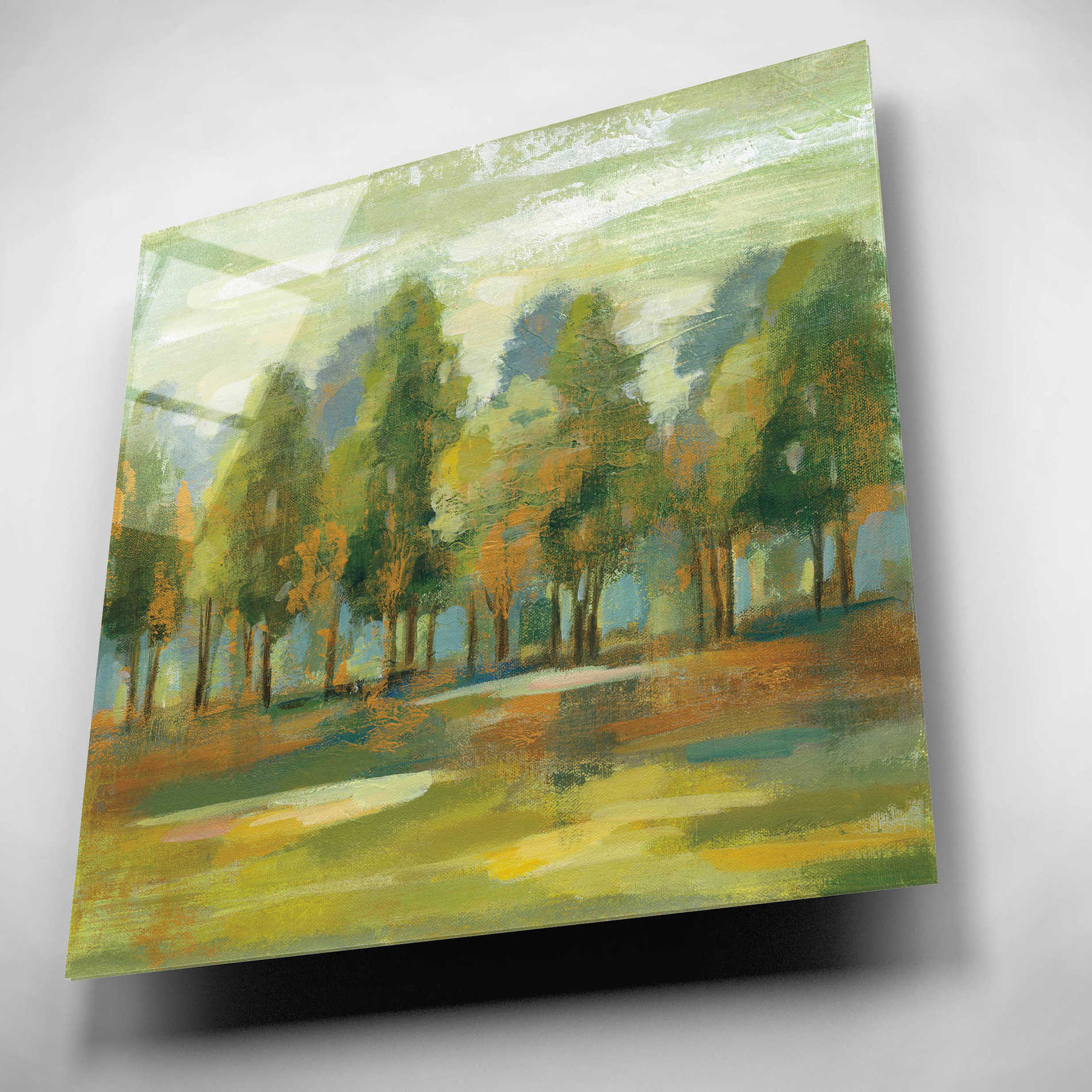 Epic Art 'Forest I' by Silvia Vassileva, Acrylic Glass Wall Art,12x12