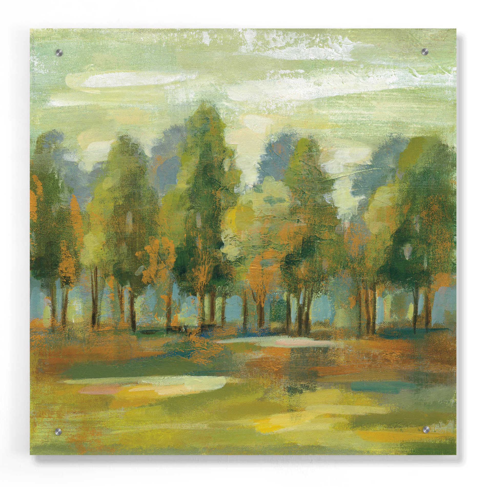 Epic Art 'Forest I' by Silvia Vassileva, Acrylic Glass Wall Art,24x24