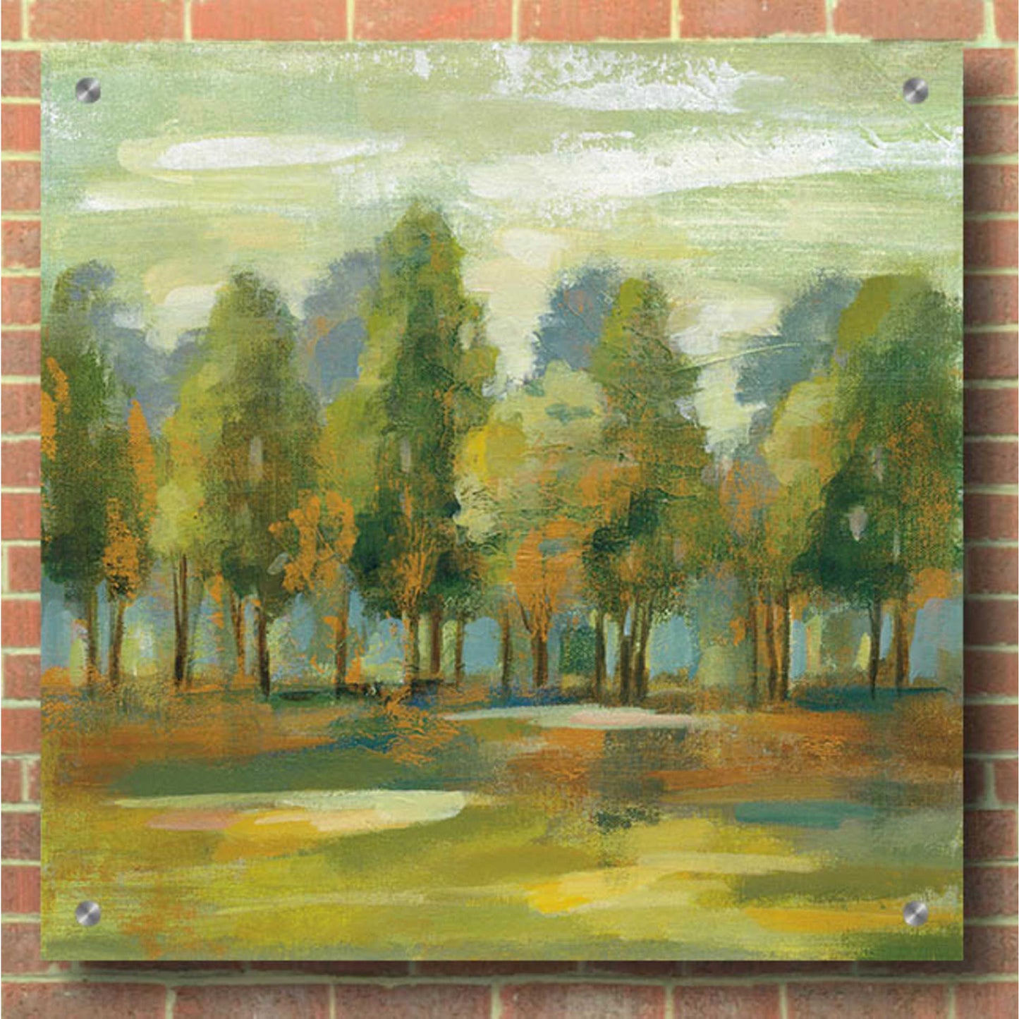 Epic Art 'Forest I' by Silvia Vassileva, Acrylic Glass Wall Art,36x36