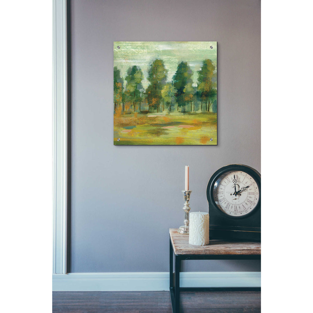 Epic Art 'Forest II' by Silvia Vassileva, Acrylic Glass Wall Art,24x24