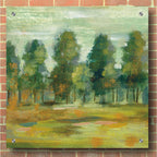 Epic Art 'Forest II' by Silvia Vassileva, Acrylic Glass Wall Art,36x36