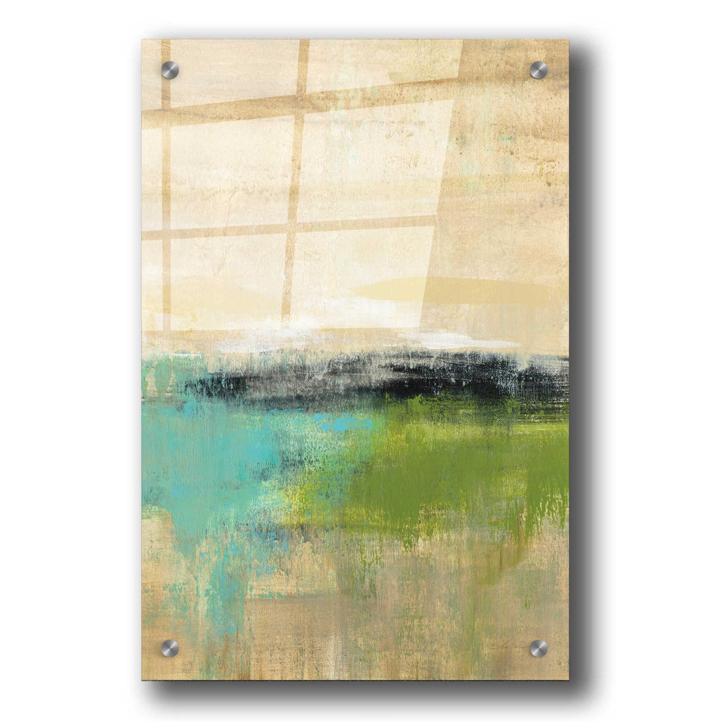 Epic Art 'Spring Valley III' by Silvia Vassileva, Acrylic Glass Wall Art,24x36