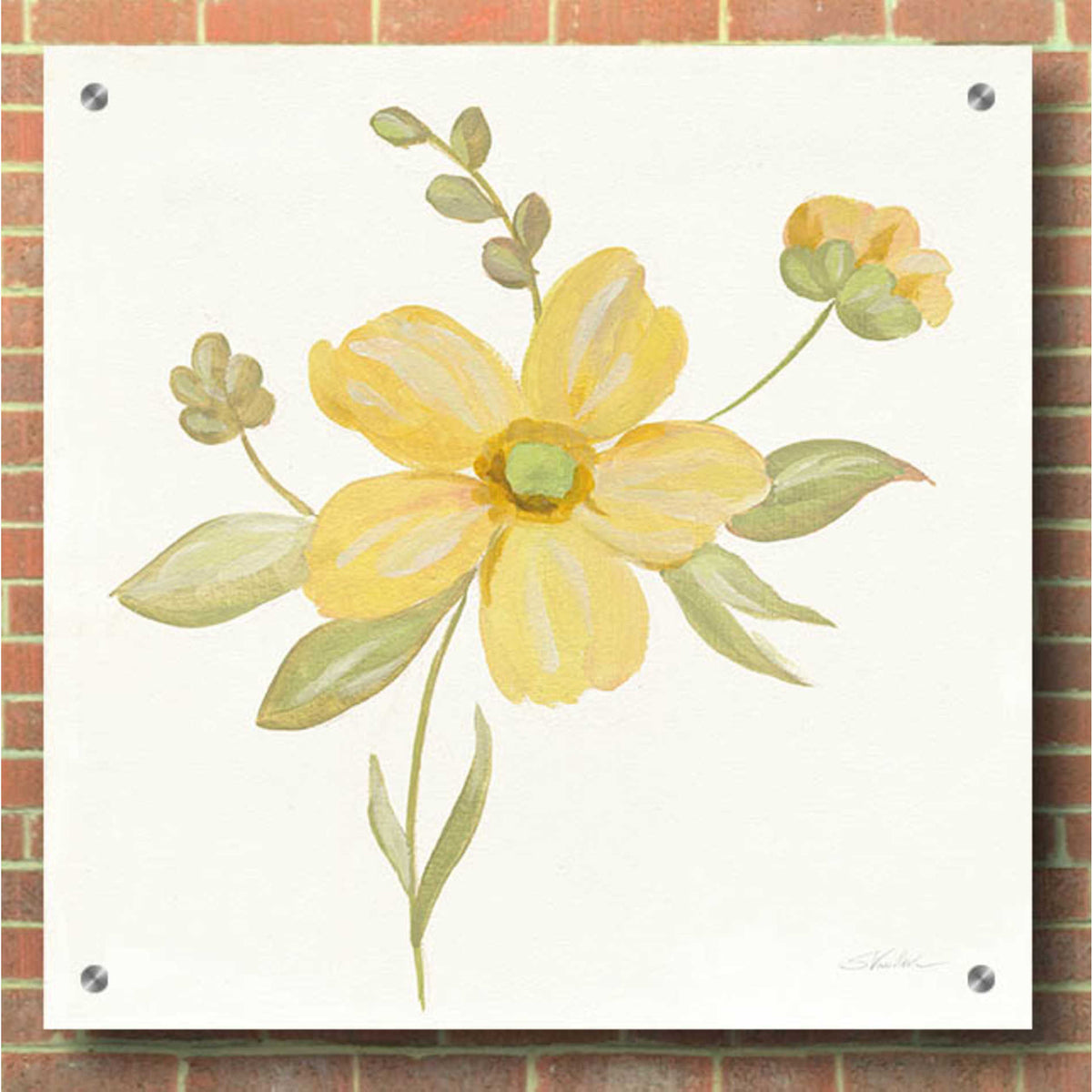 Epic Art 'June Bloom II' by Silvia Vassileva, Acrylic Glass Wall Art,36x36