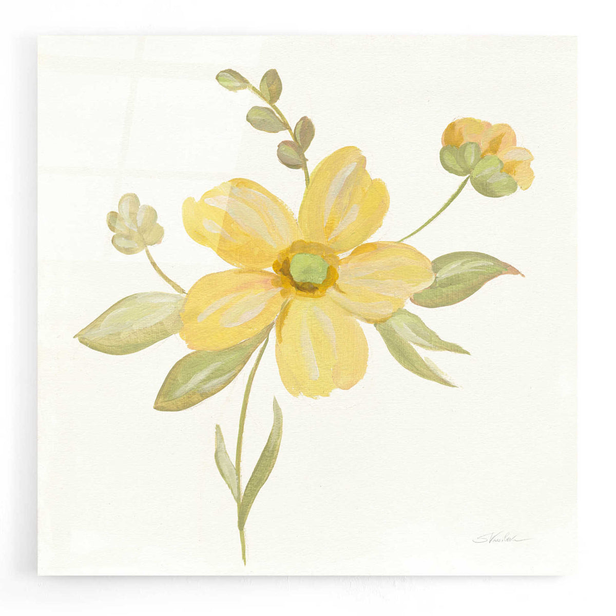 Epic Art 'June Bloom II' by Silvia Vassileva, Acrylic Glass Wall Art