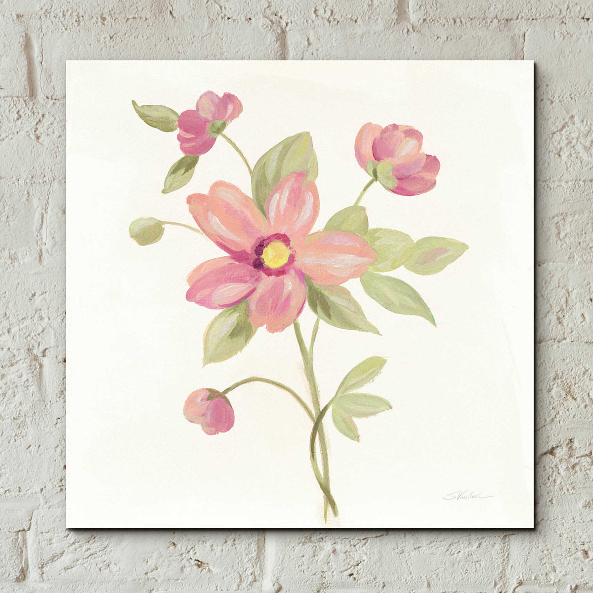 Epic Art 'June Bloom III' by Silvia Vassileva, Acrylic Glass Wall Art,12x12