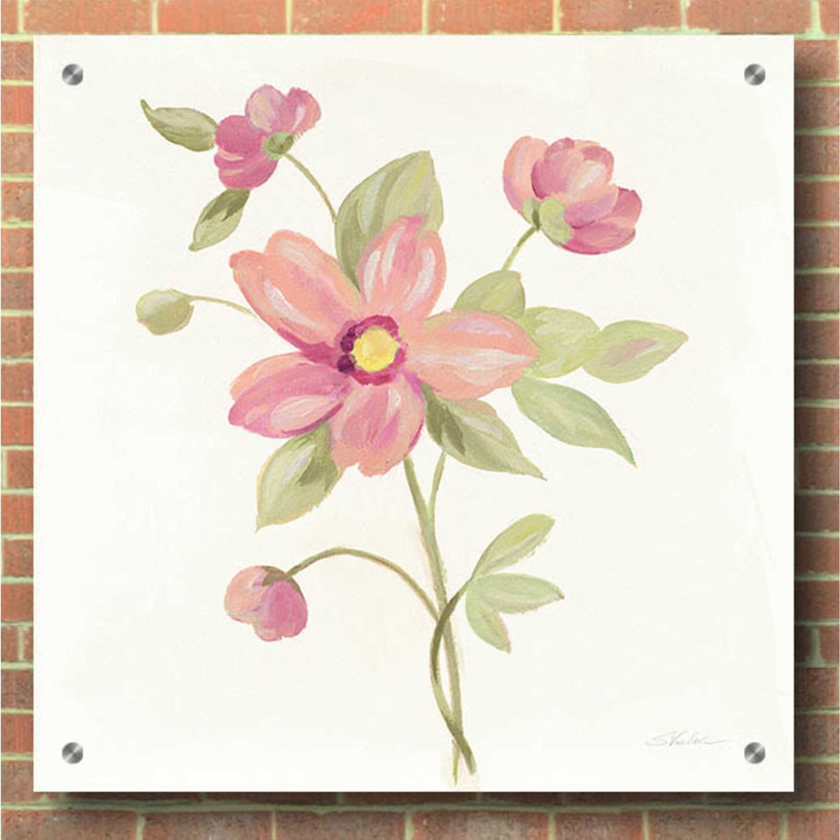 Epic Art 'June Bloom III' by Silvia Vassileva, Acrylic Glass Wall Art,36x36