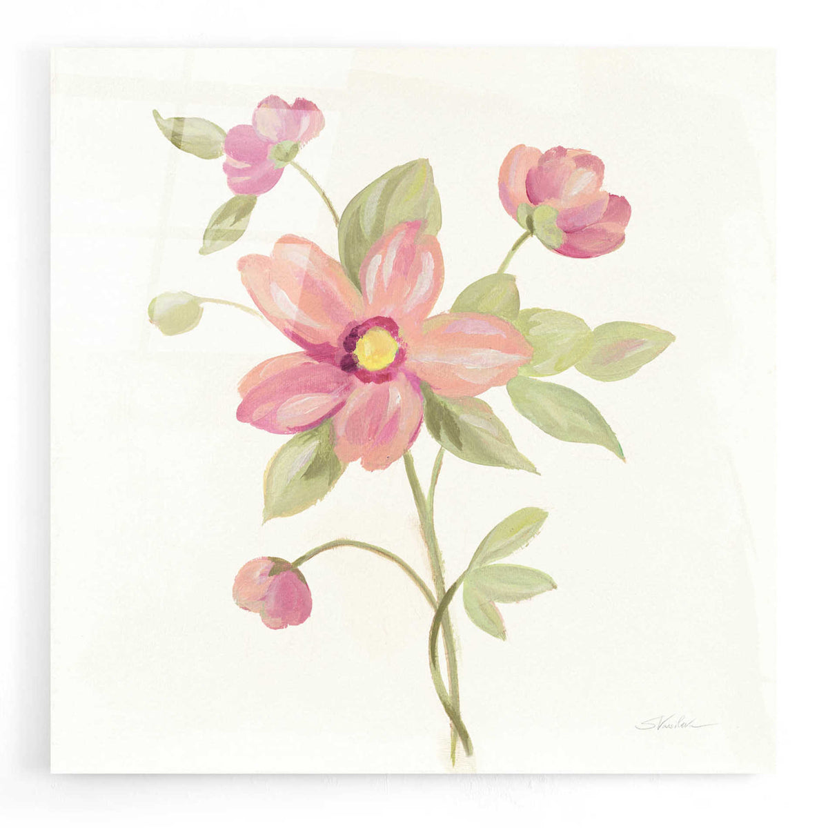 Epic Art 'June Bloom III' by Silvia Vassileva, Acrylic Glass Wall Art