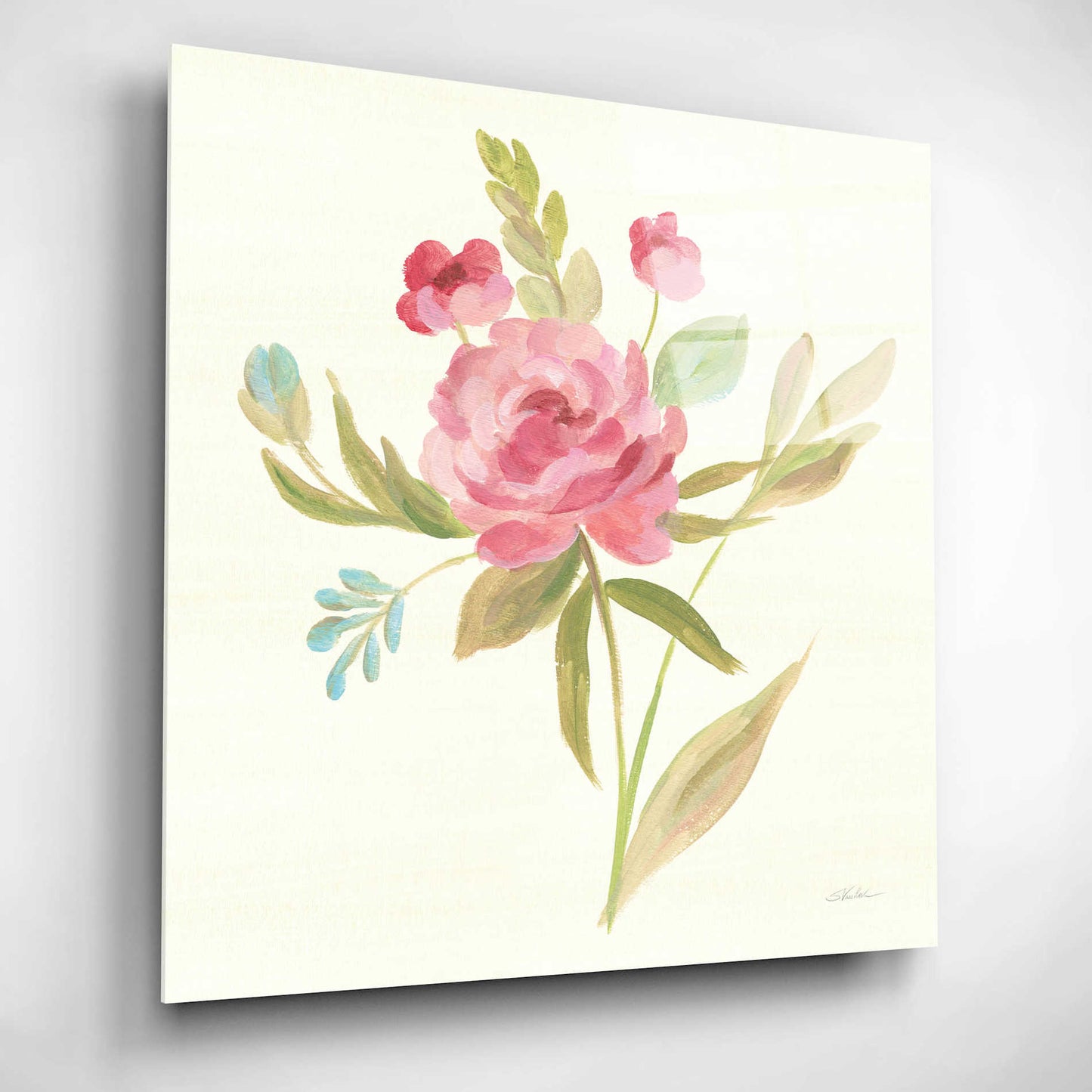 Epic Art 'Petals and Blossoms V' by Silvia Vassileva, Acrylic Glass Wall Art,12x12