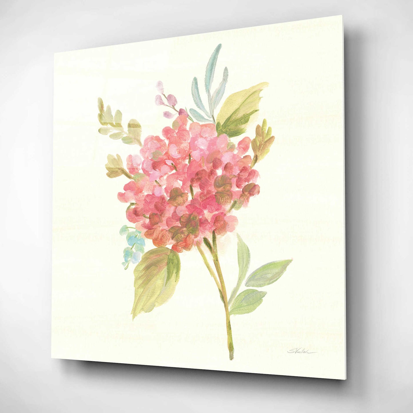 Epic Art 'Petals and Blossoms VII' by Silvia Vassileva, Acrylic Glass Wall Art,12x12