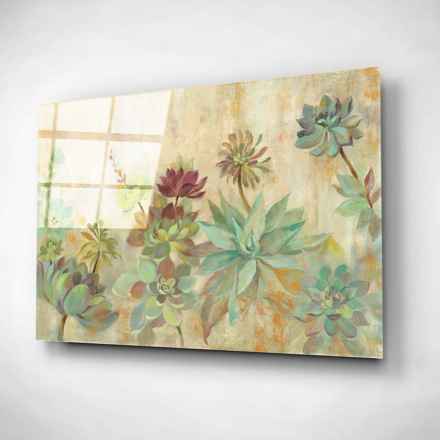 Epic Art 'Succulent Garden' by Silvia Vassileva, Acrylic Glass Wall Art,16x12