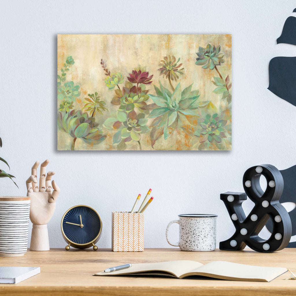 Epic Art 'Succulent Garden' by Silvia Vassileva, Acrylic Glass Wall Art,16x12