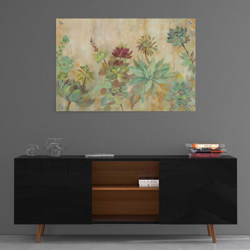 Epic Art 'Succulent Garden' by Silvia Vassileva, Acrylic Glass Wall Art,36x24