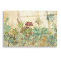 Epic Art 'Succulent Garden' by Silvia Vassileva, Acrylic Glass Wall Art